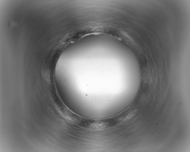 X0000067350213200604071434