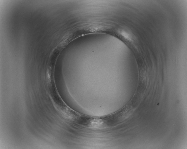 X0000067350214200604071434