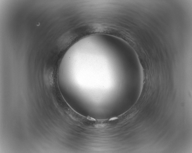 X0000067350216200604071434