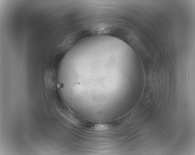 X0000067350218200604071434