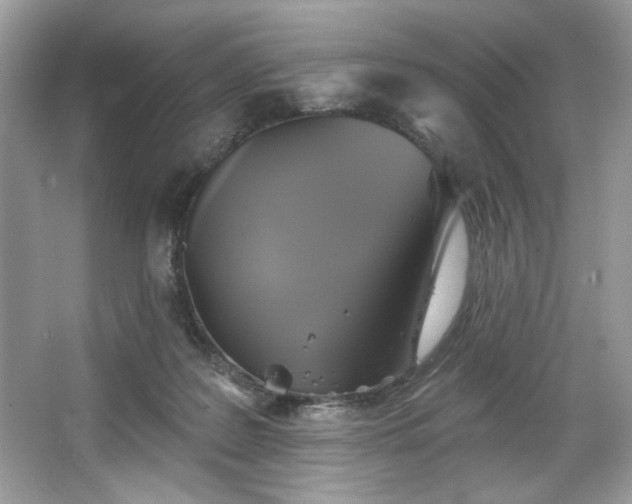 X0000067350219200604071434