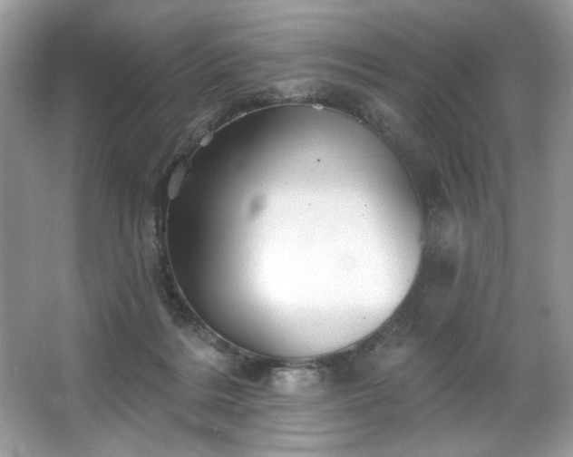 X0000067350220200604071434