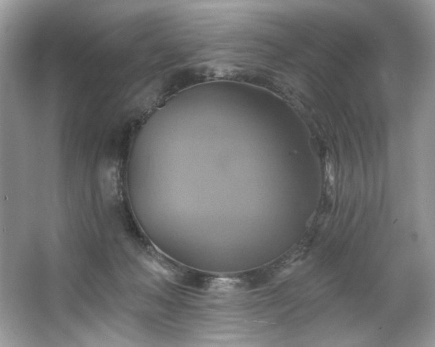 X0000067350222200604071434