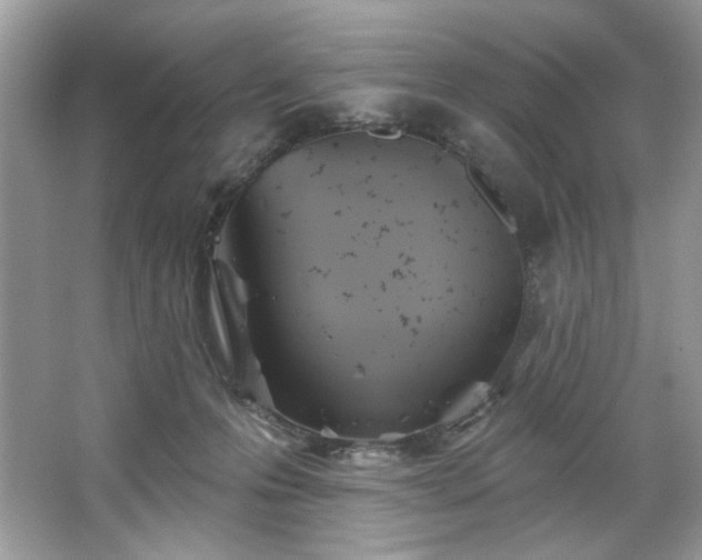 X0000067350223200604071434