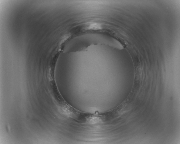 X0000067350224200604071434