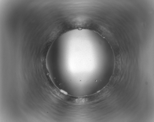 X0000067350225200604071434