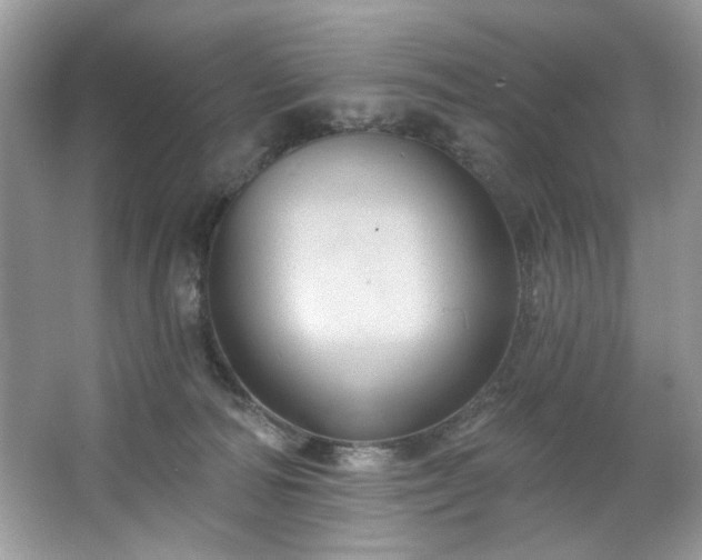 X0000067350226200604071434