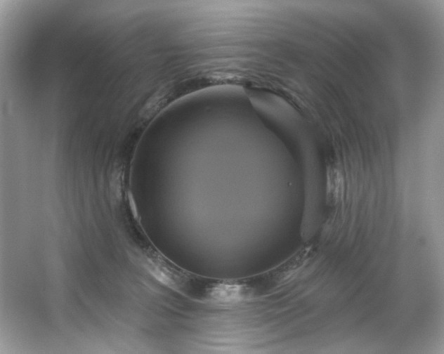 X0000067350227200604071434