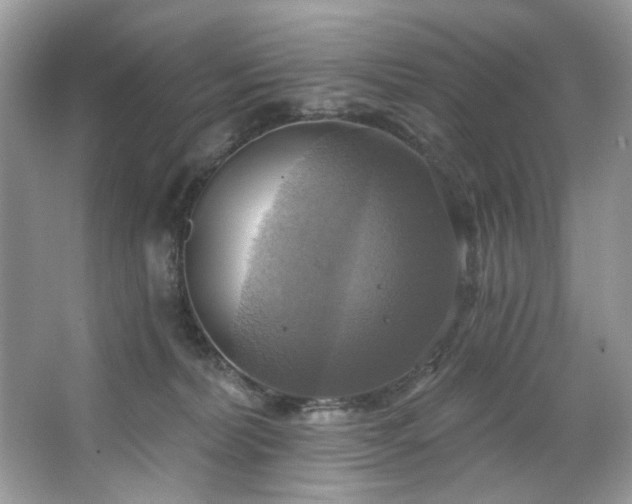 X0000067350228200604071434