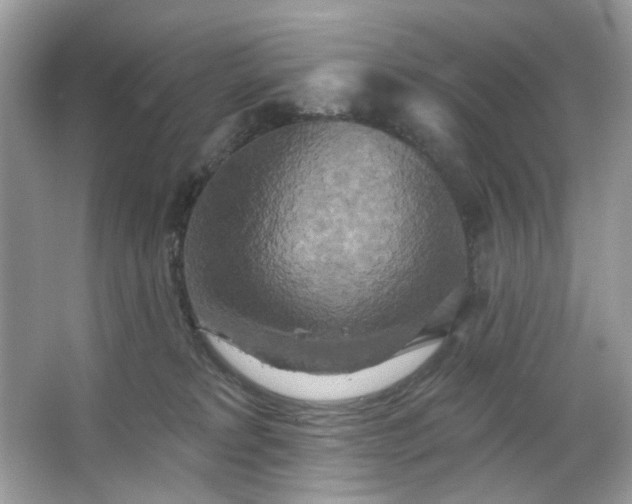 X0000067350229200604071434