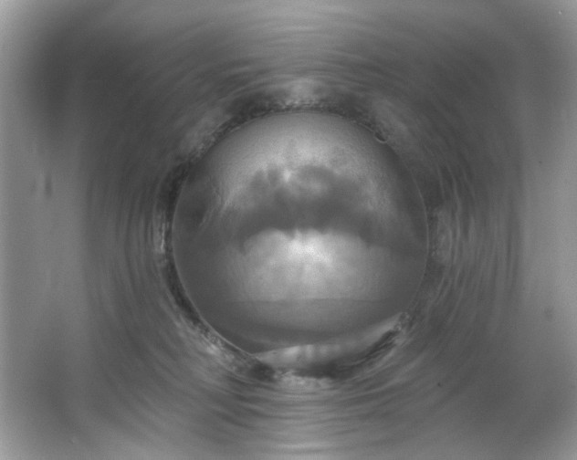 X0000067350230200604071434