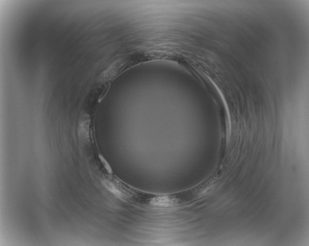 X0000067350231200604071434