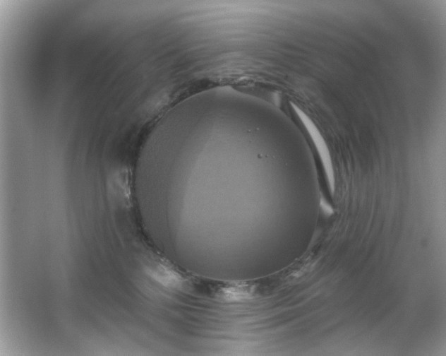 X0000067350232200604071434