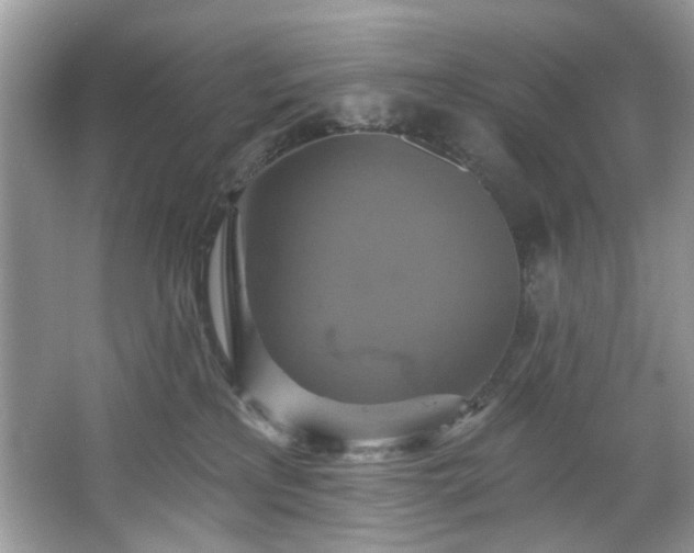 X0000067350233200604071434