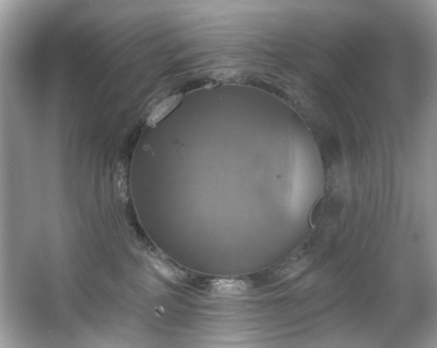 X0000067350234200604071434