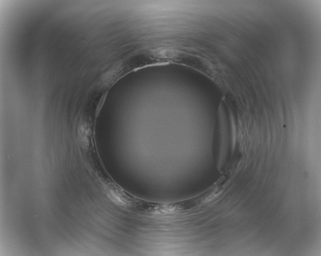 X0000067350235200604071434