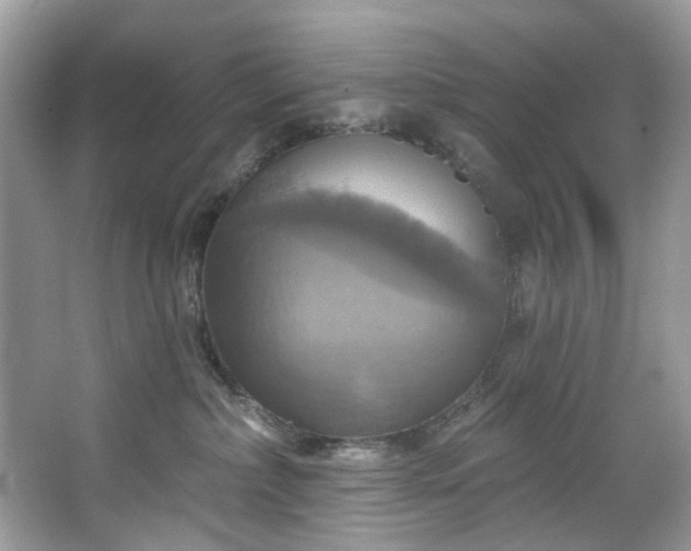 X0000067350236200604071433