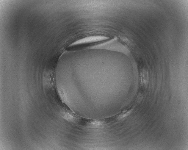 X0000067350237200604071433