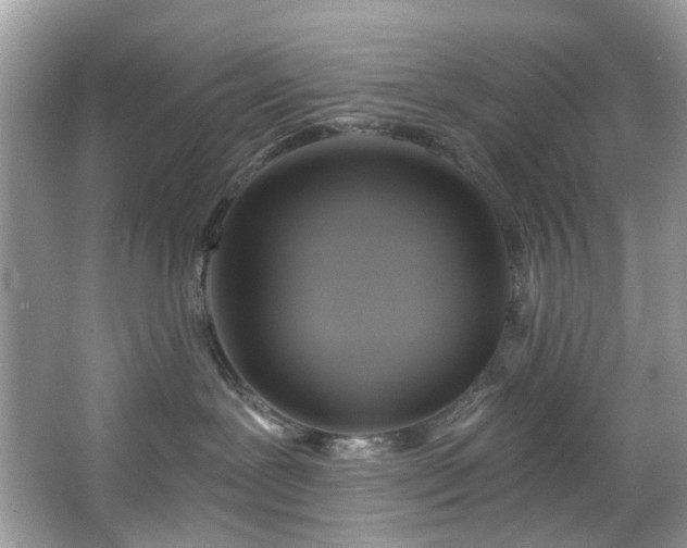 X0000067350239200604071433