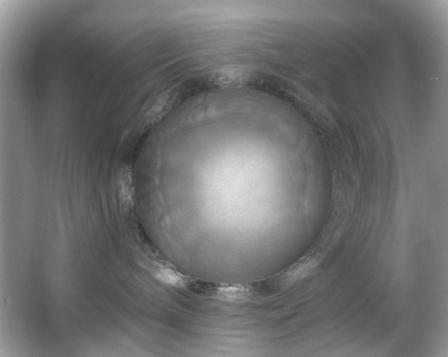 X0000067350240200604071433