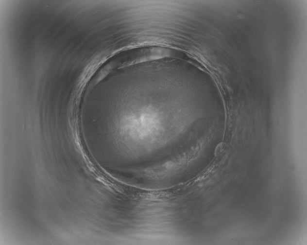 X0000067350241200604071433