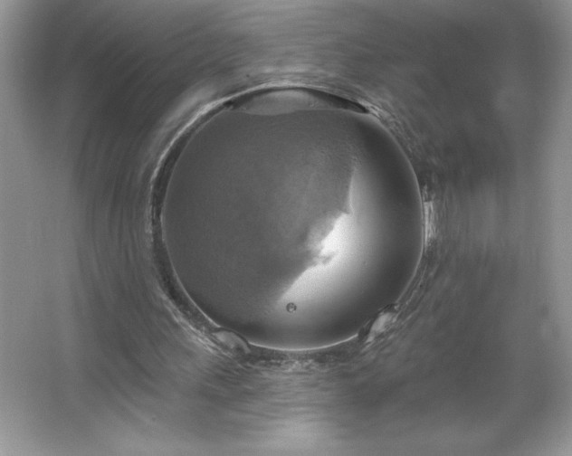 X0000067350243200604071433