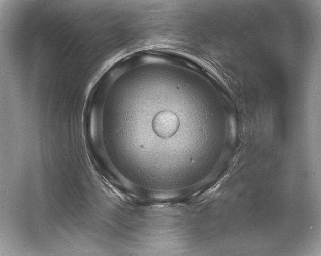 X0000067350244200604071433