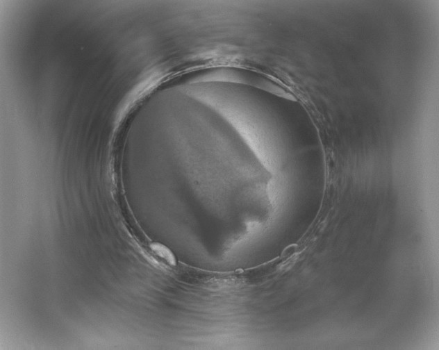 X0000067350245200604071433