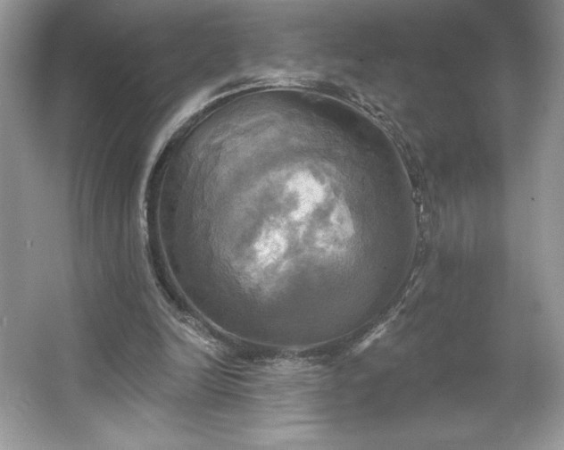 X0000067350246200604071433