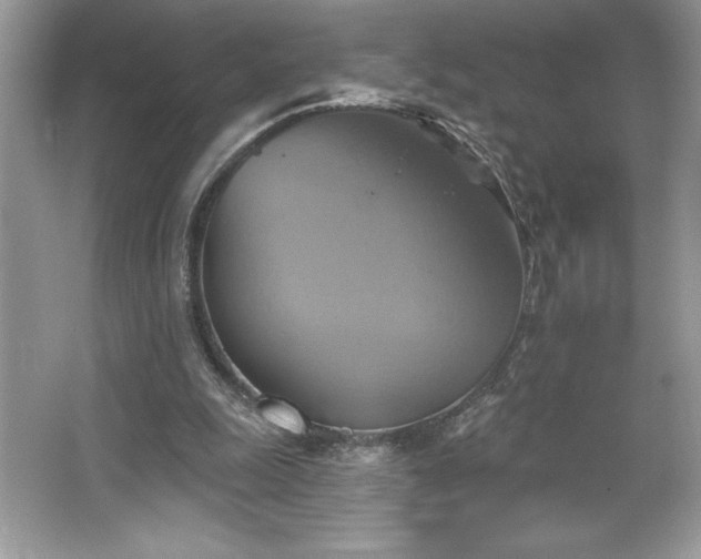 X0000067350247200604071433