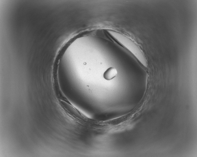 X0000067350248200604071433