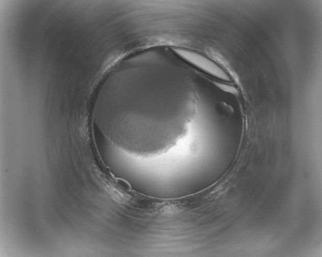 X0000067350249200604071433