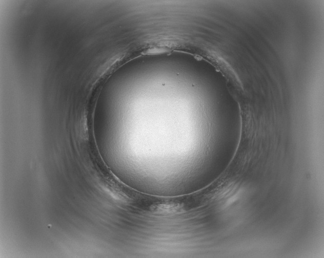 X0000067350251200604071433