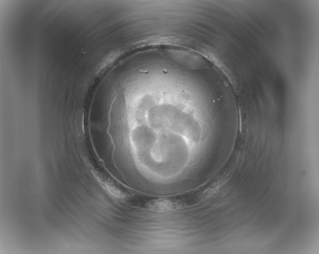 X0000067350253200604071433