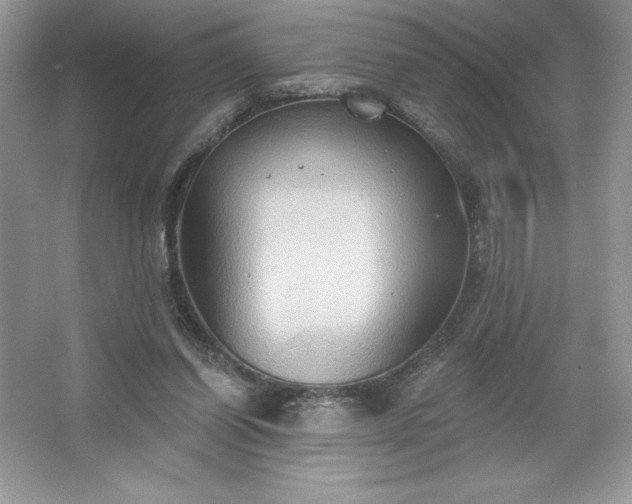 X0000067350254200604071433