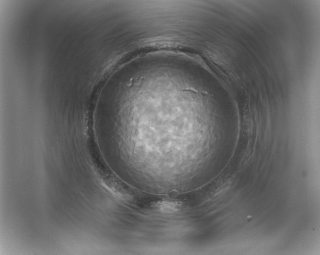 X0000067350255200604071433