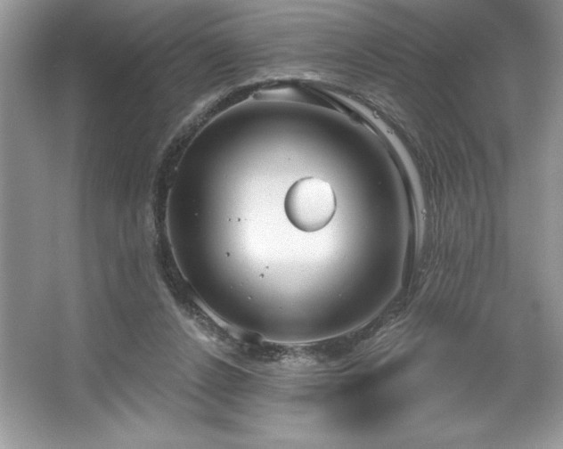 X0000067350256200604071433