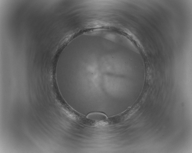 X0000067350257200604071433