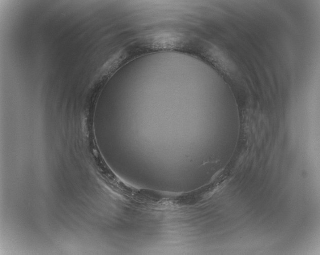 X0000067350258200604071433