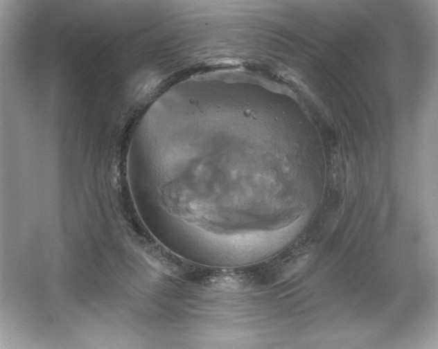 X0000067350259200604071433