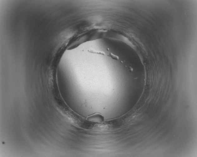 X0000067350260200604071433