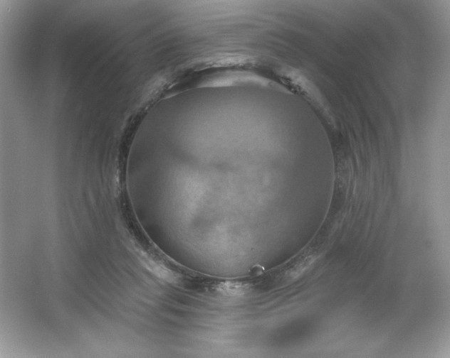 X0000067350261200604071433