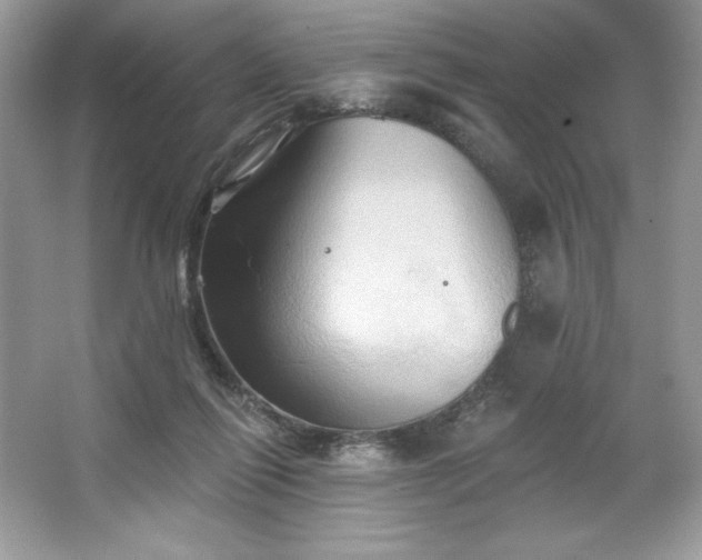 X0000067350262200604071433