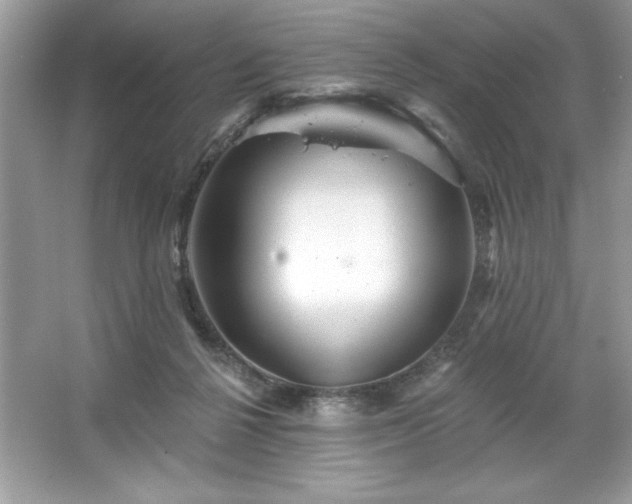 X0000067350264200604071433