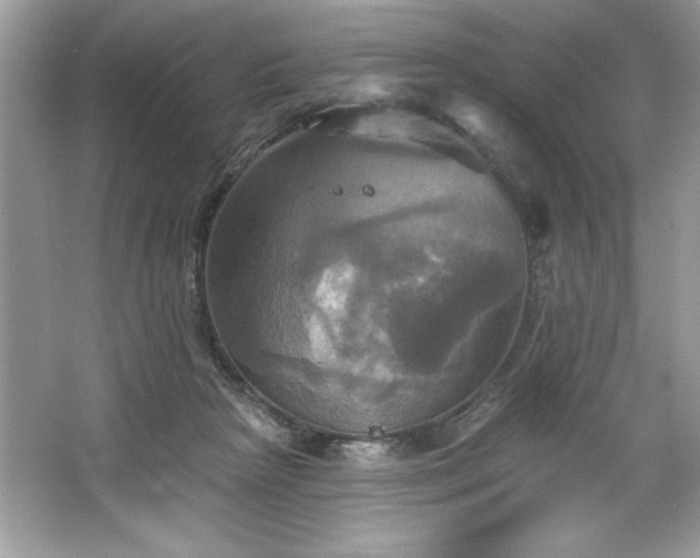 X0000067350265200604071433