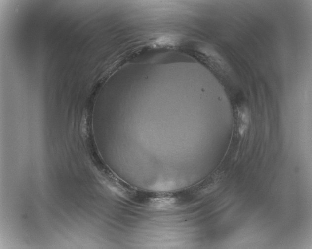 X0000067350266200604071433