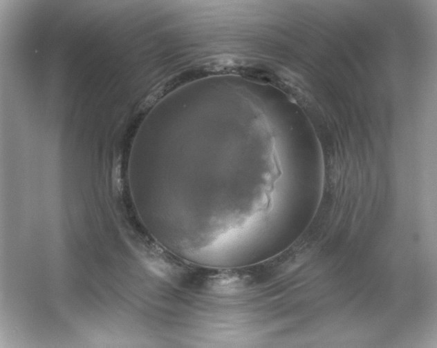 X0000067350267200604071433