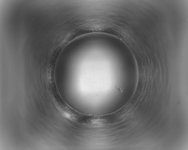 X0000067350268200604071433