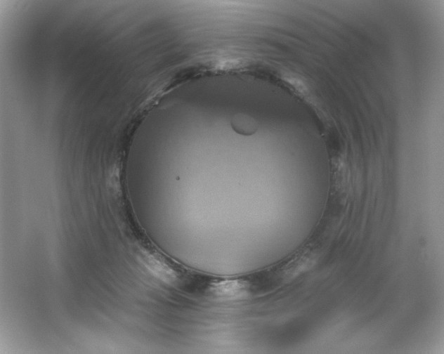 X0000067350269200604071433