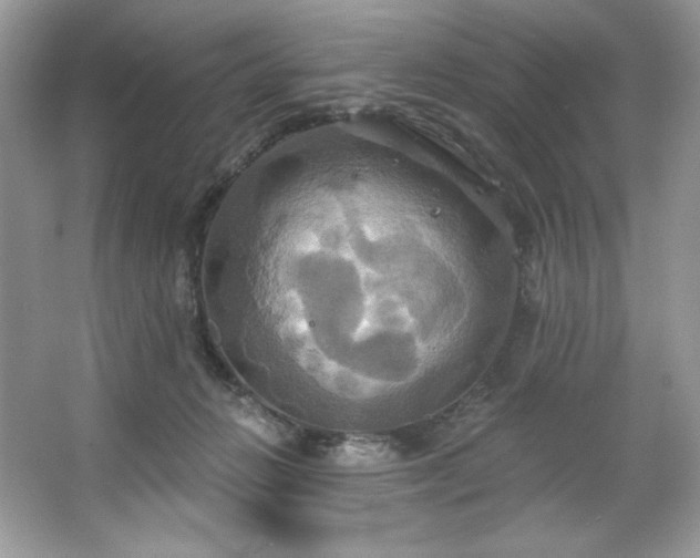 X0000067350270200604071433